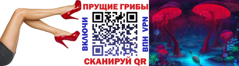 купить   Барыш  Галлюциногенные грибы Psilocybe 